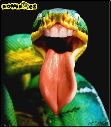had